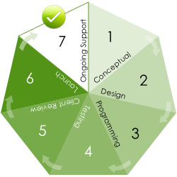 The web site designer process